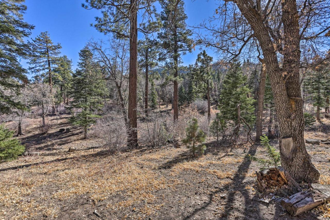 Chocolate Moose Cabin Short Walk To Slopes Villa Big Bear Lake Exteriör bild