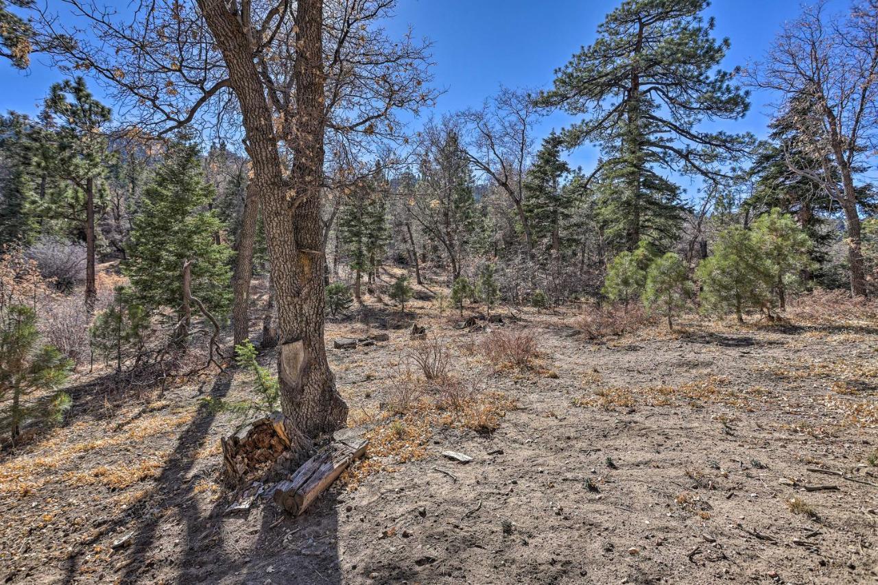 Chocolate Moose Cabin Short Walk To Slopes Villa Big Bear Lake Exteriör bild